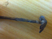  بالصور: سلطة الآثار تعثر على تحفة أثرية في يافا يعود تاريخها لأكثر من 130 عاماً 